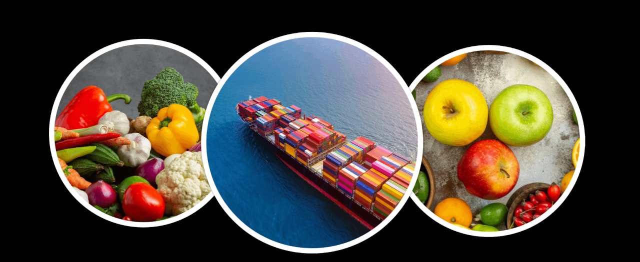 Global supply chain disruptions causing food shortages Global supply chain disruptions causing food shortages